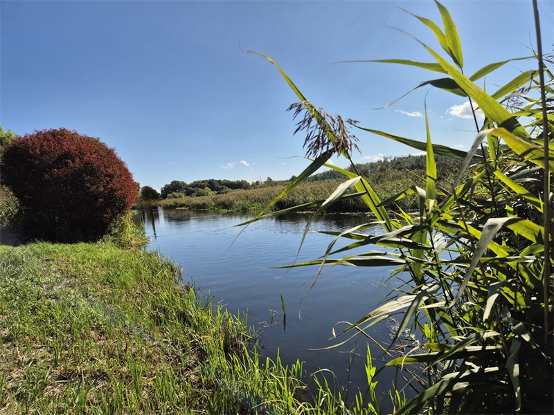 Niederfinow , am Finowkanal